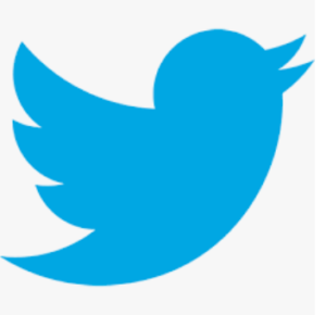 Twitter Official logo