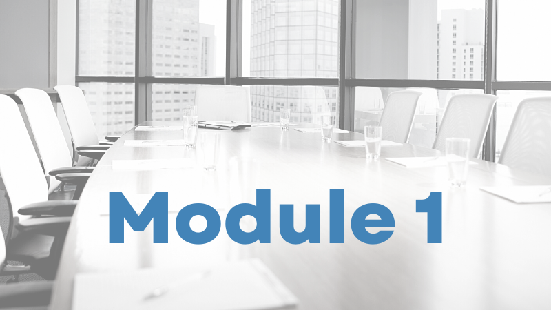 Module 1: Board Success Foundations
