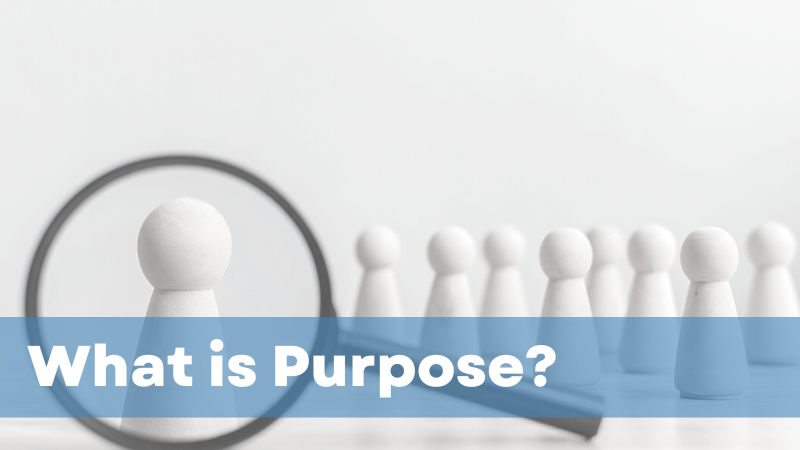 2. What is Purpose?