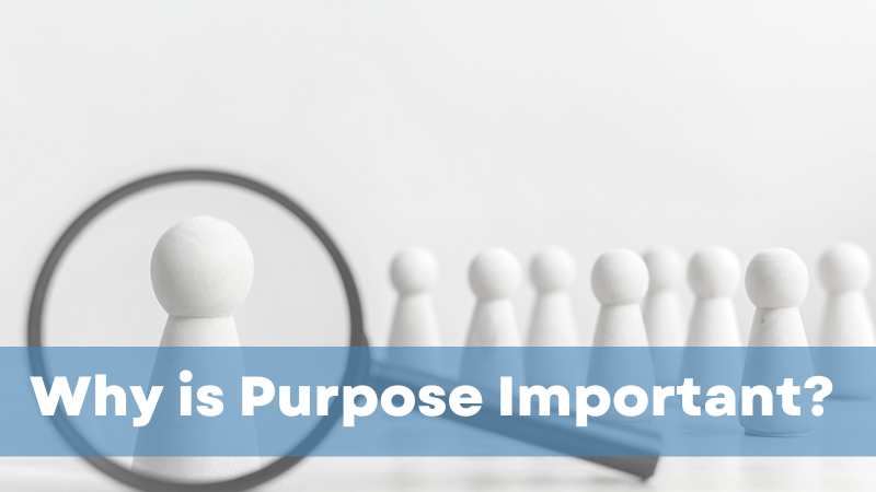 3. Why is Purpose Important?
